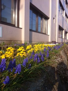 花小路通りの花壇